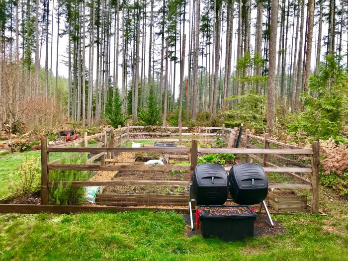 Mrs. Hillbilly’s November Garden