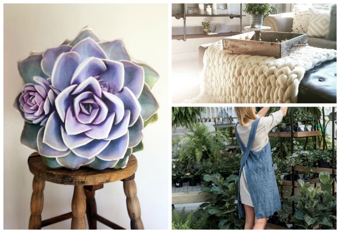 One Hundred Dollars a Month – Mavis’ Weekly Highlights 12/7/19