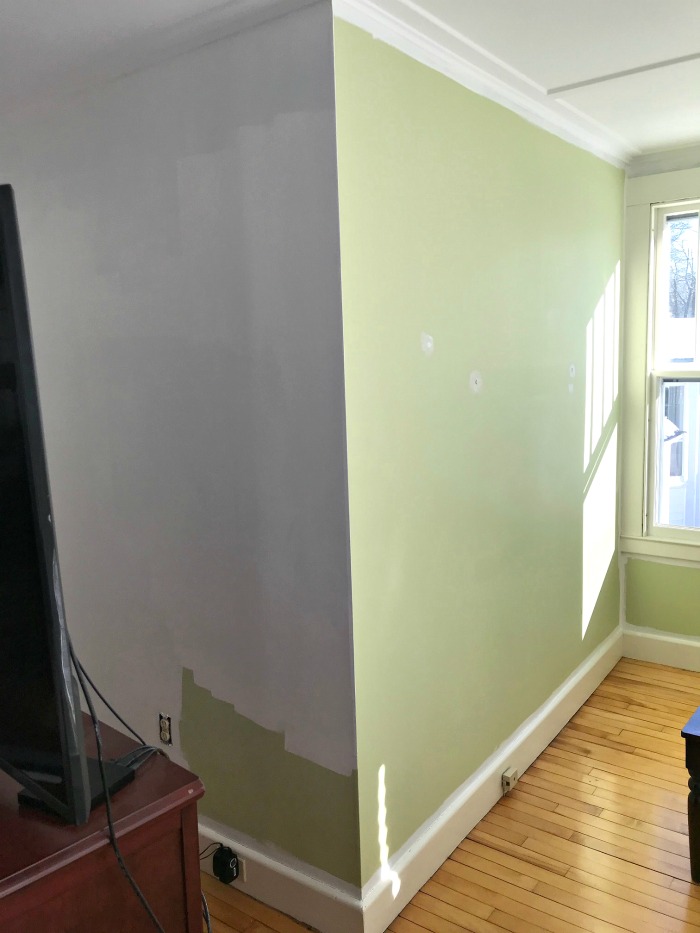 Lime Green Walls One Hundred Dollars A Month