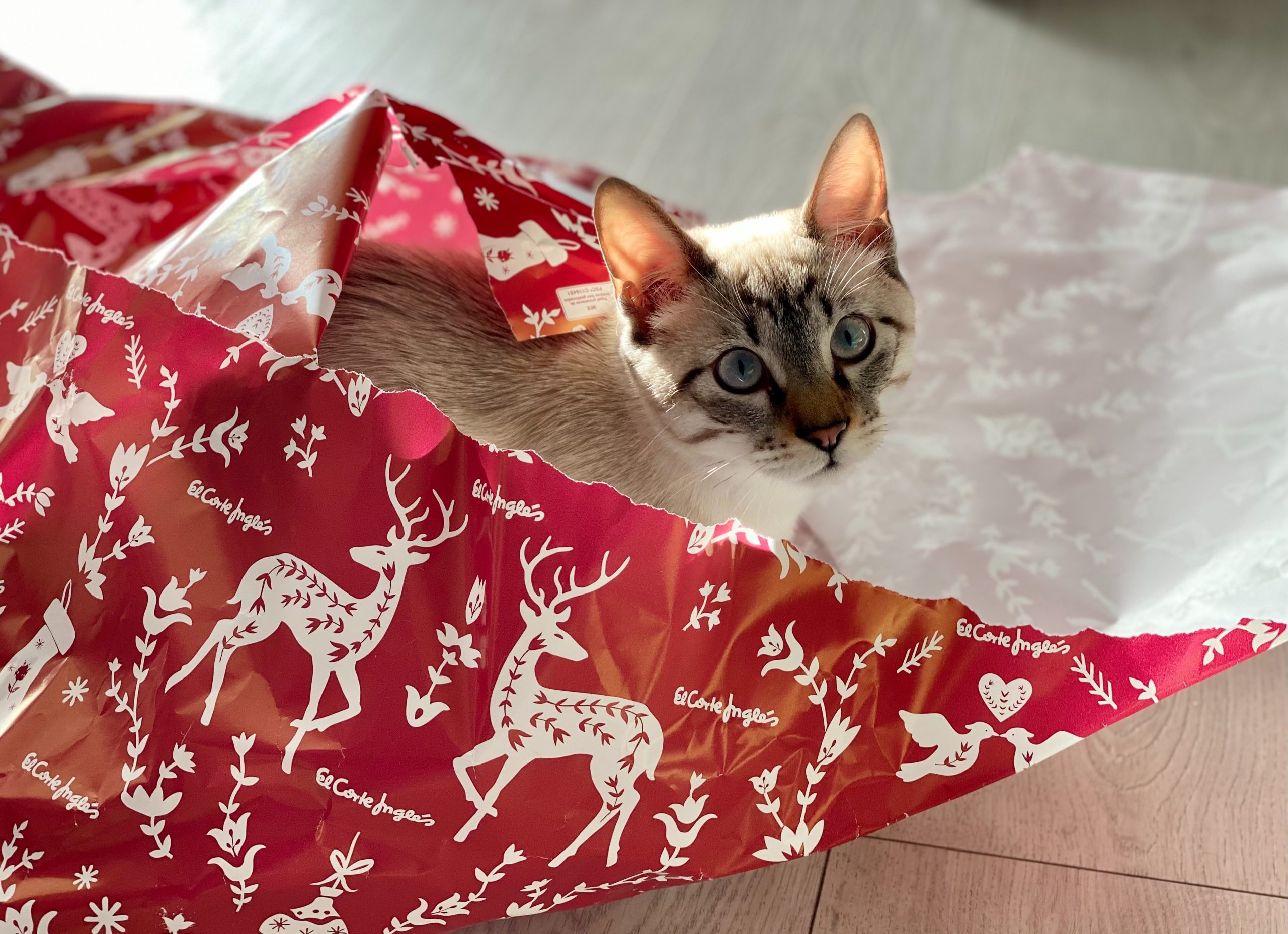 Reader Tip:  Give Used Wrapping Paper a Crisp NEW Look