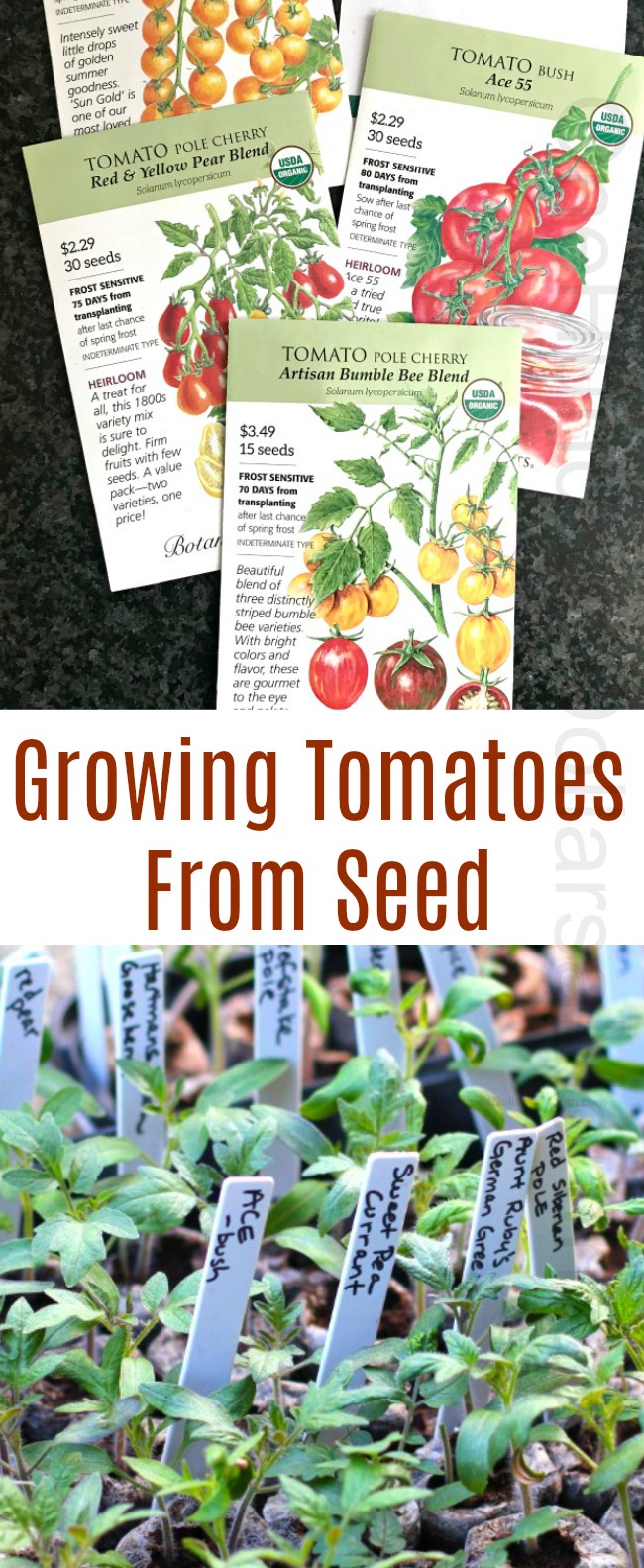 Growing Tomatoes From Seed