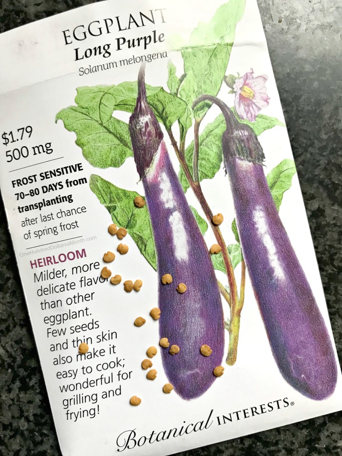 How to Grow Eggplant