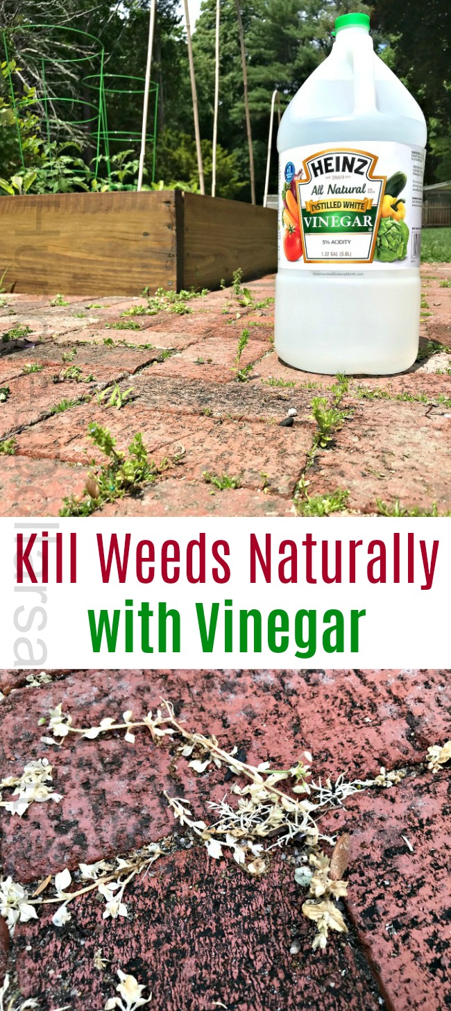 Kill Weeds Naturally with Vinegar