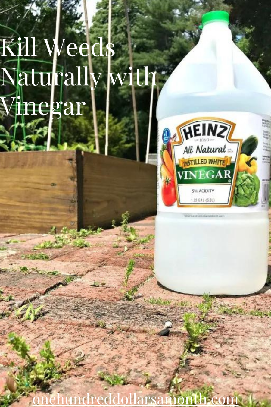 Kill Weeds Naturally with Vinegar