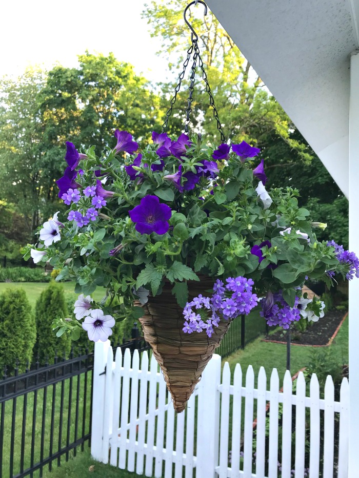 My 14 Goals for 2020 Week 23 of 52