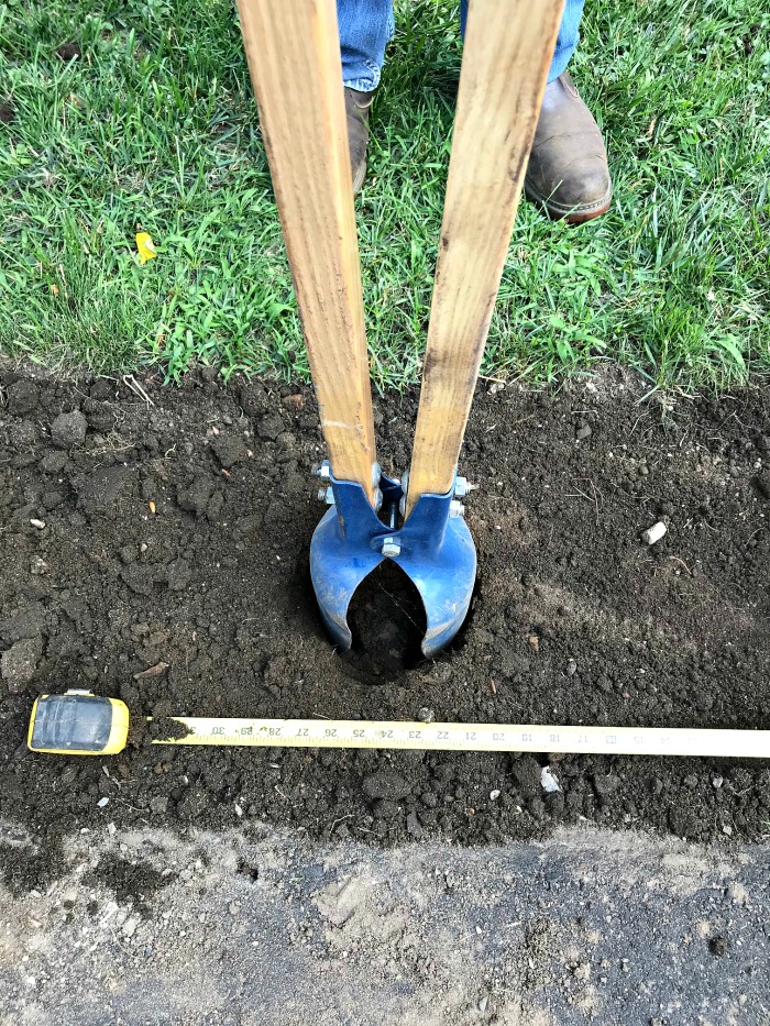 Gardening in Maine – A New Hosta Border, a Garden Box Update and More