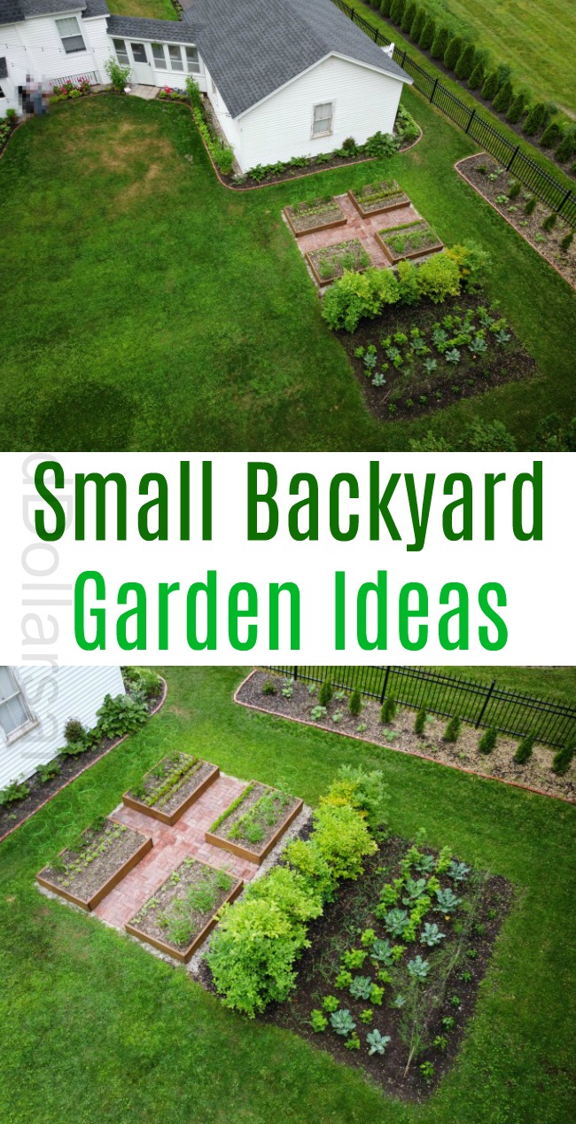 Small Backyard Vegetable Garden Ideas One Hundred Dollars A Month