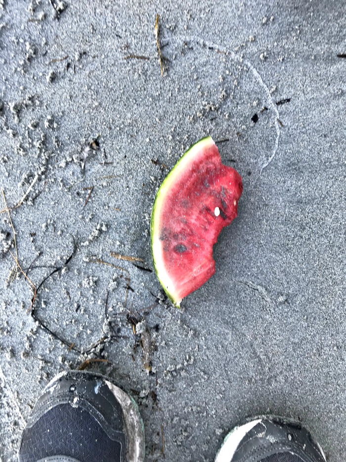 10 Things I Did Not Pick Up At the Beach This Week