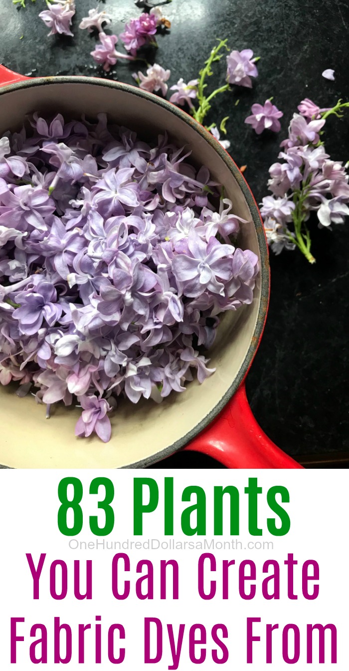 83 Plants You Can Create Fabric Dyes From