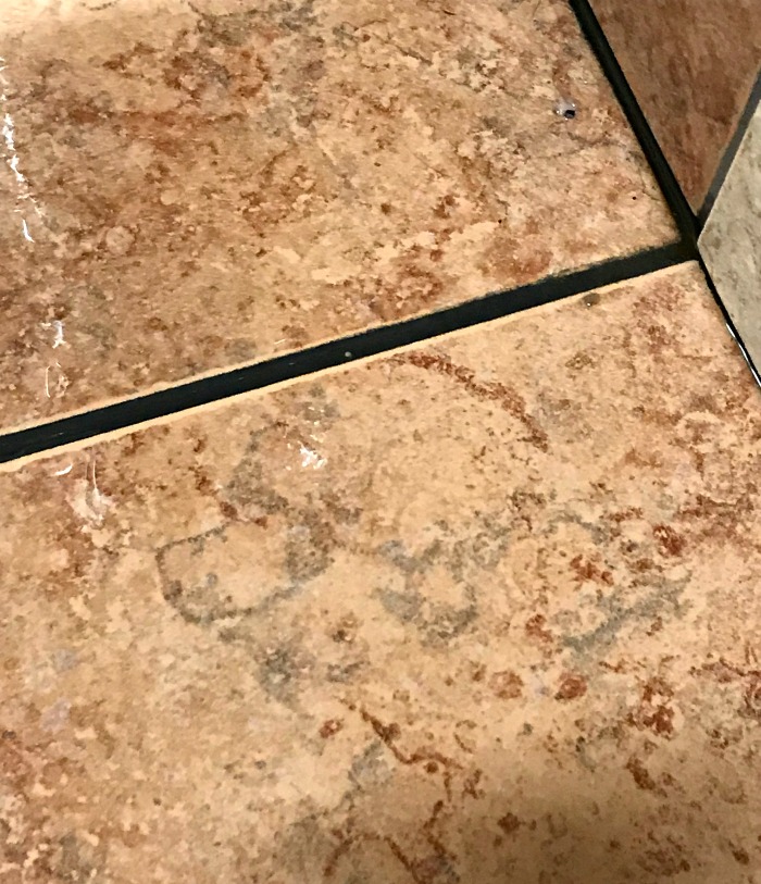 Pareidolia – Do We See The Same Thing?