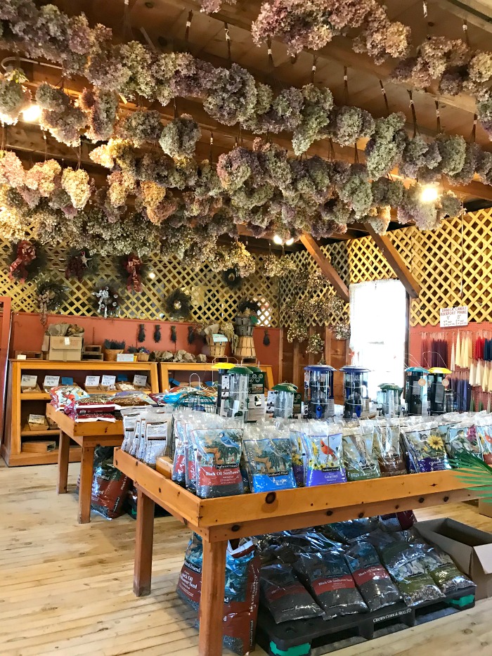 Wallingford Farm in Kennebunk, Maine One Hundred Dollars a Month