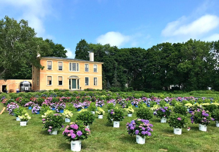 Wallingford Farm in Kennebunk, Maine