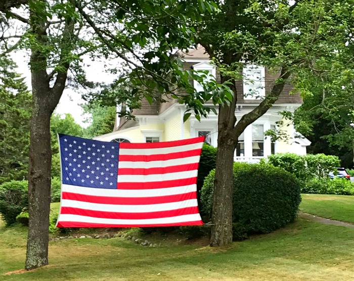 One Hundred Dollars a Month – Mavis’ Weekly Highlights 7/4/2020