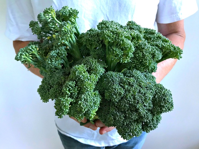 7 Ways to Use Up and Preserve Fresh Broccoli