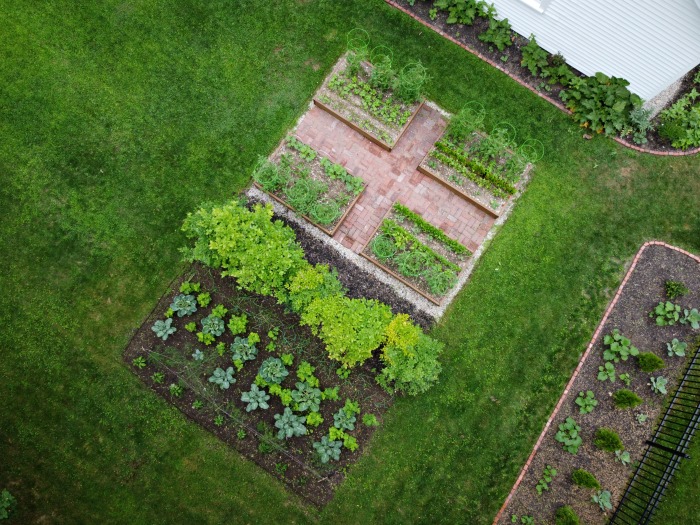 Gardening in Coastal Maine – Early July Garden Pictures