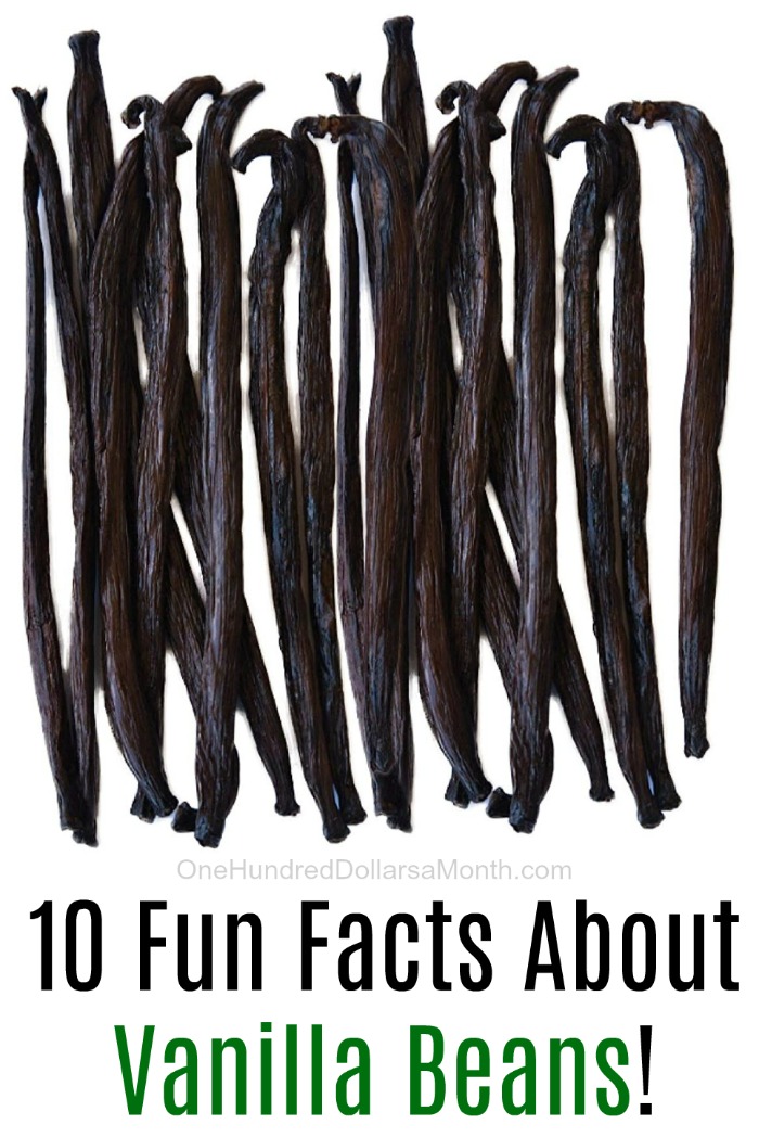 10 Fun Facts About Vanilla Beans!