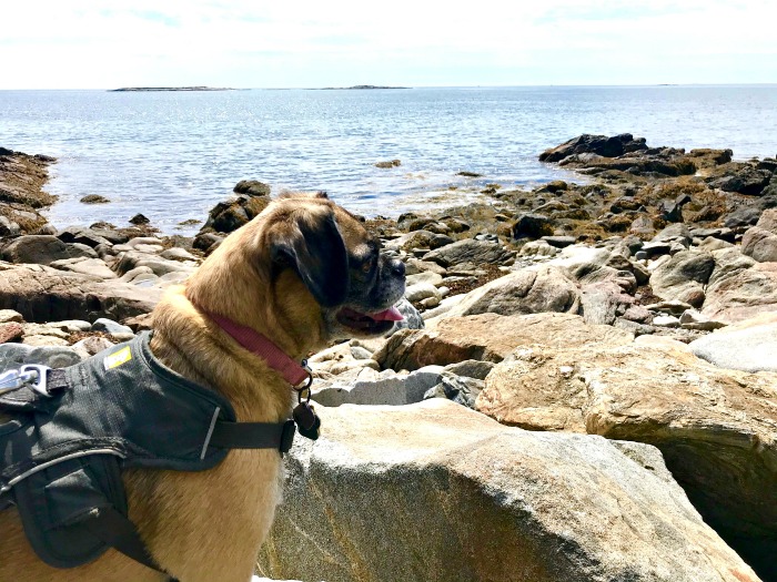 My 14 Goals for 2020 Week 34 of 52