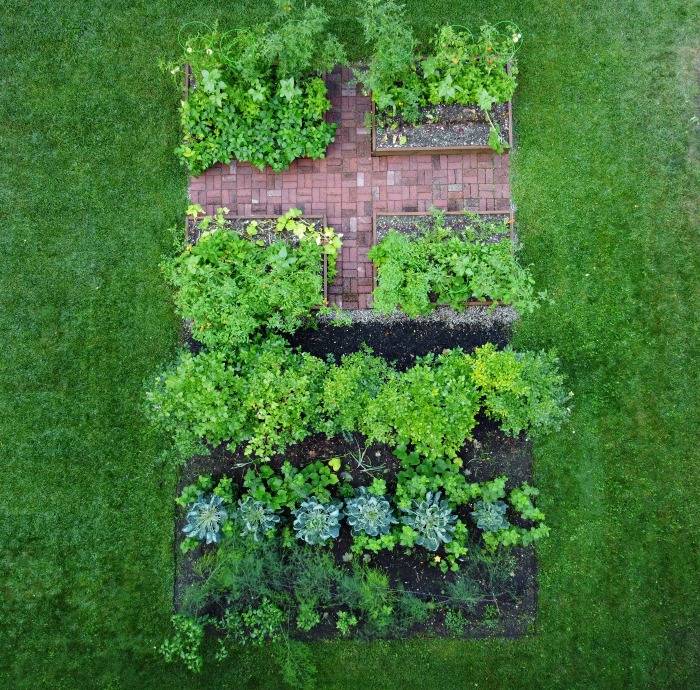 Gardening in Coastal Maine – Early September in the Garden