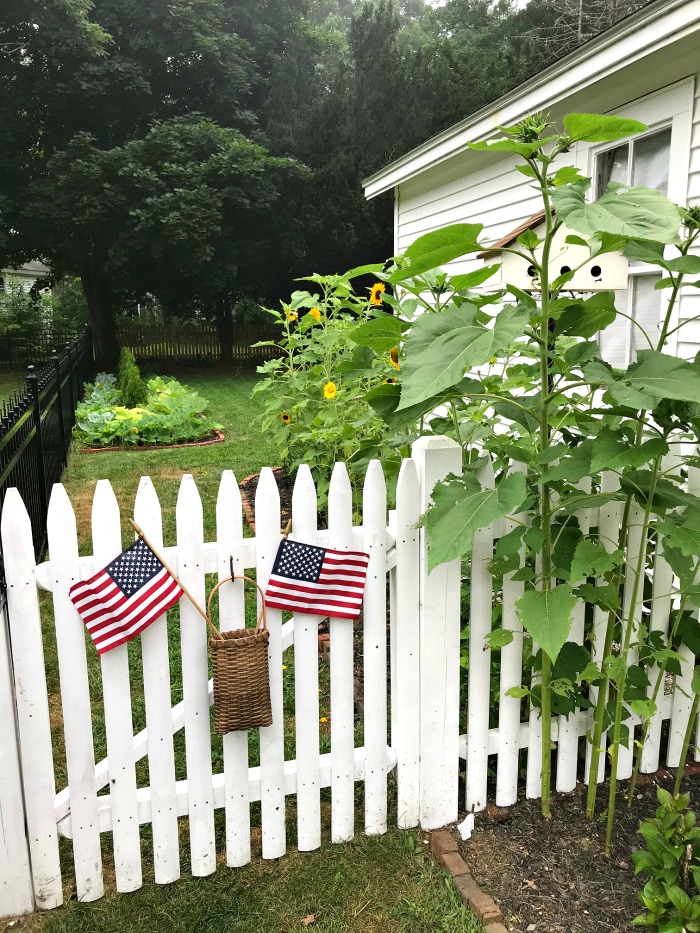 Gardening in Maine – Zone 5b – Early August