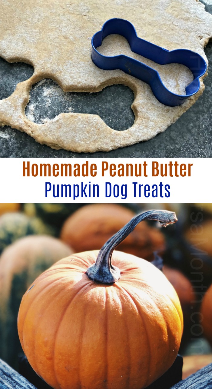 Homemade Peanut Butter Pumpkin Dog Treats