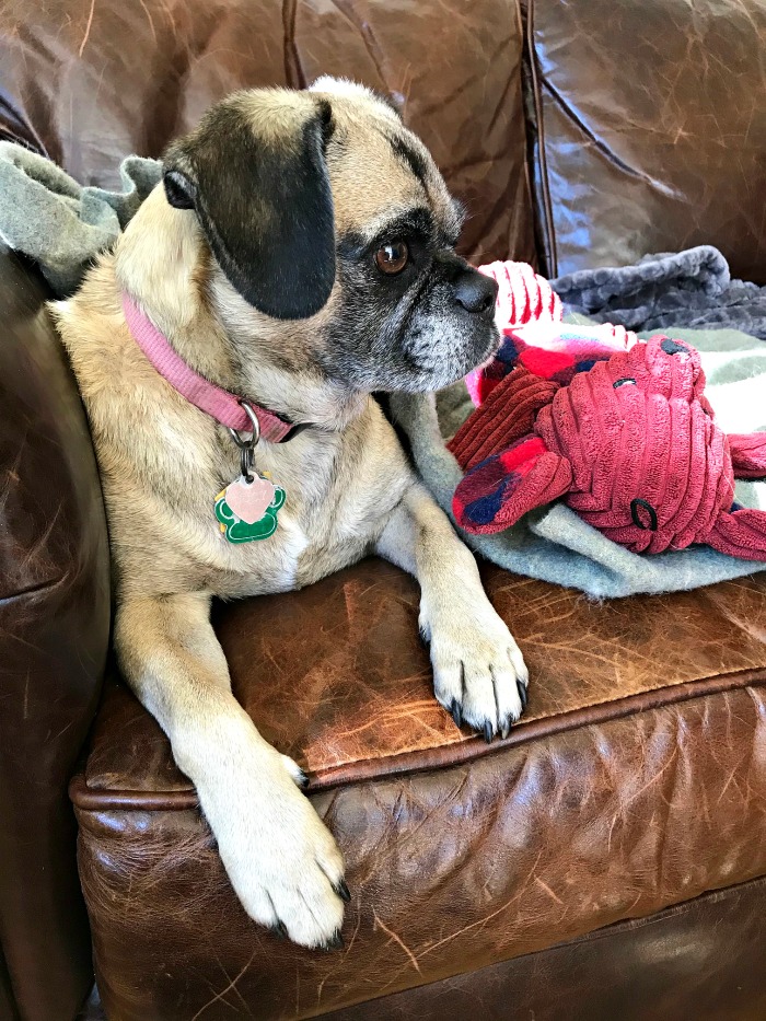 My 14 Goals for 2020 Week 38 of 52