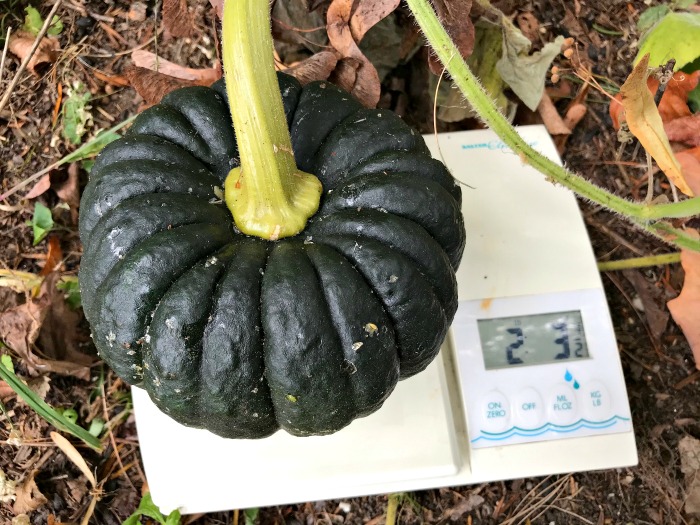 My 14 Goals for 2020 Week 39 of 52