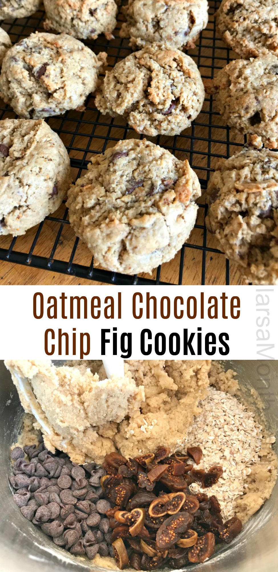 Oatmeal Chocolate Chip Fig Cookies