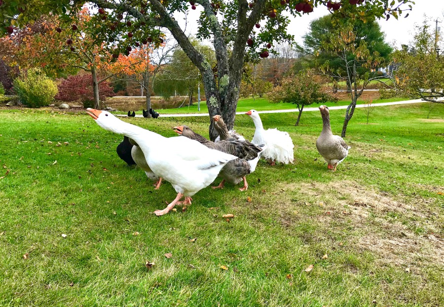 Seriously…. What Are the Odds?