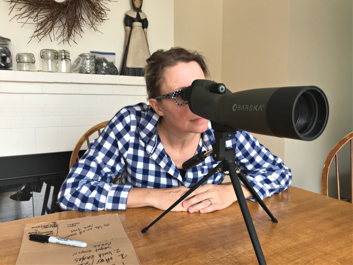 My 14 Goals for 2020 Week 43 of 52