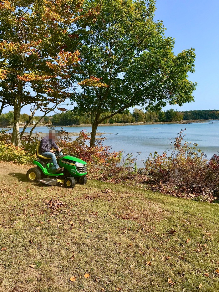 My 14 Goals for 2020 Week 42 of 52