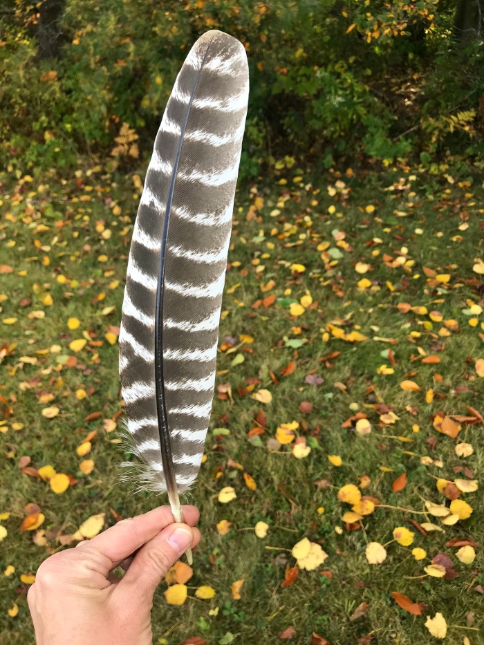 One Hundred Dollars a Month Page 2 of 2287 I am your typical