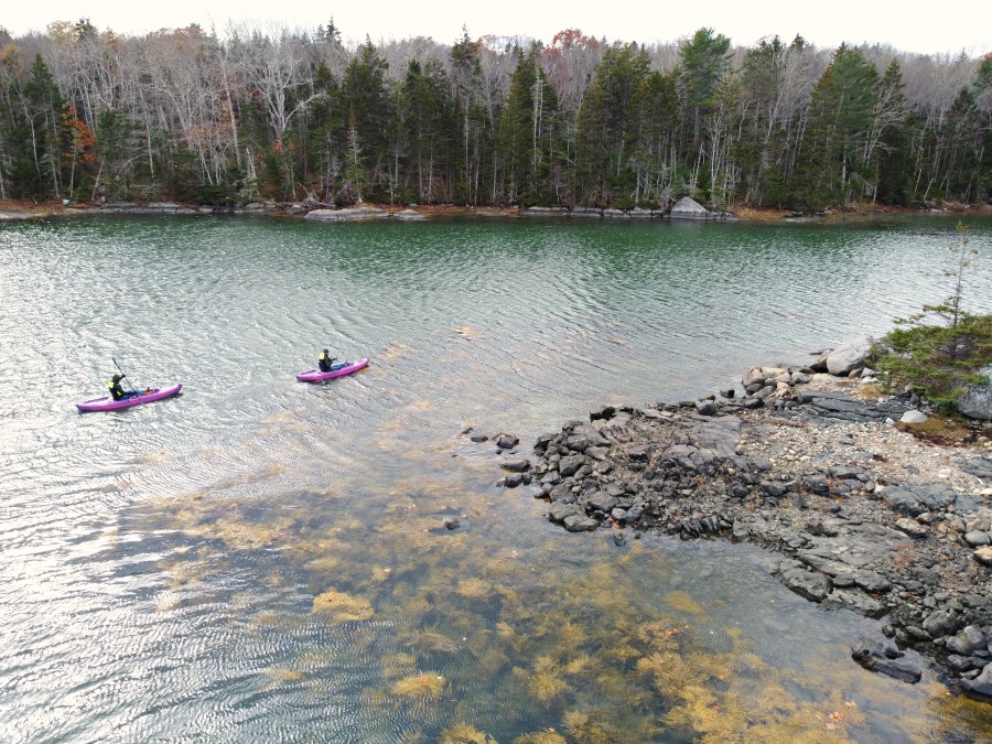 Not a Bad Way to Spend the Morning…