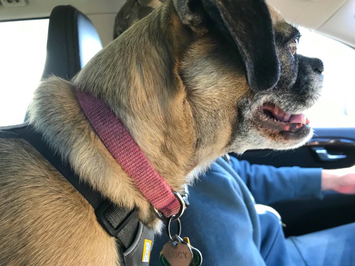 My 14 Goals for 2020 Week 48 of 52