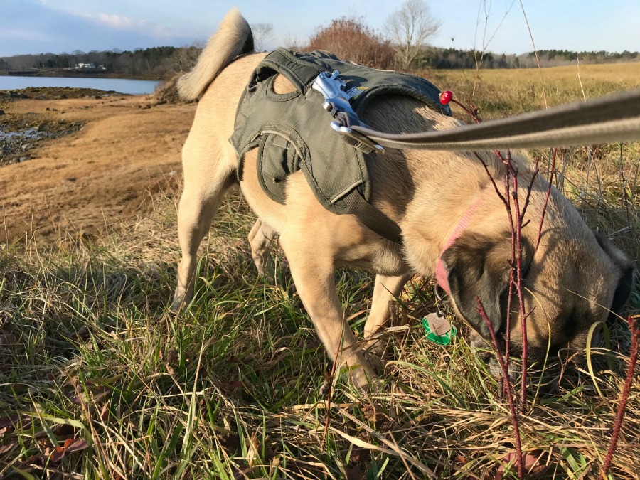 My 14 Goals for 2020 Week 47 of 52