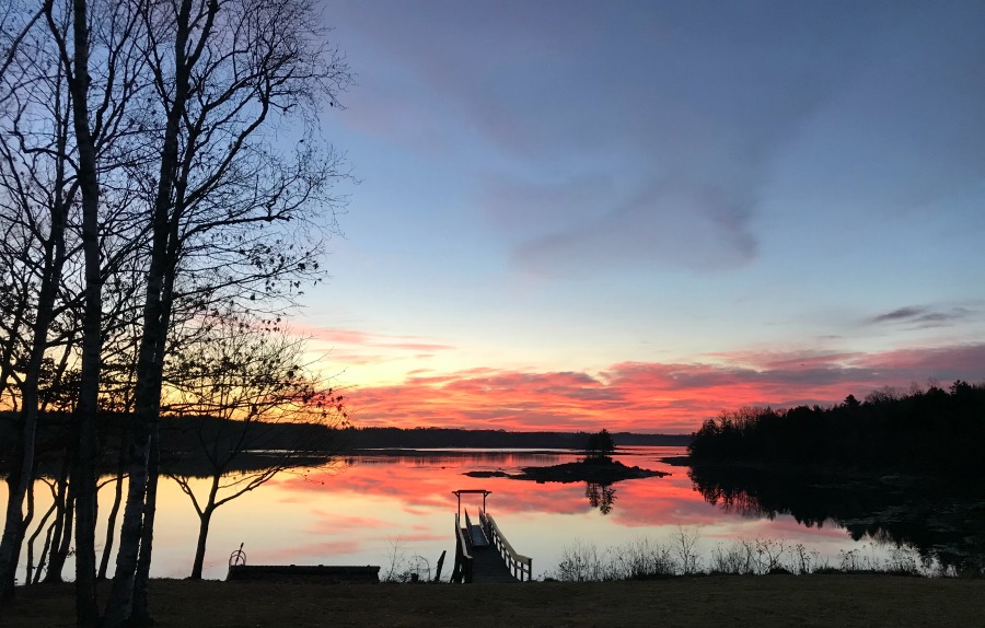 One Hundred Dollars a Month – Mavis’ Weekly Highlights 11/7/2020