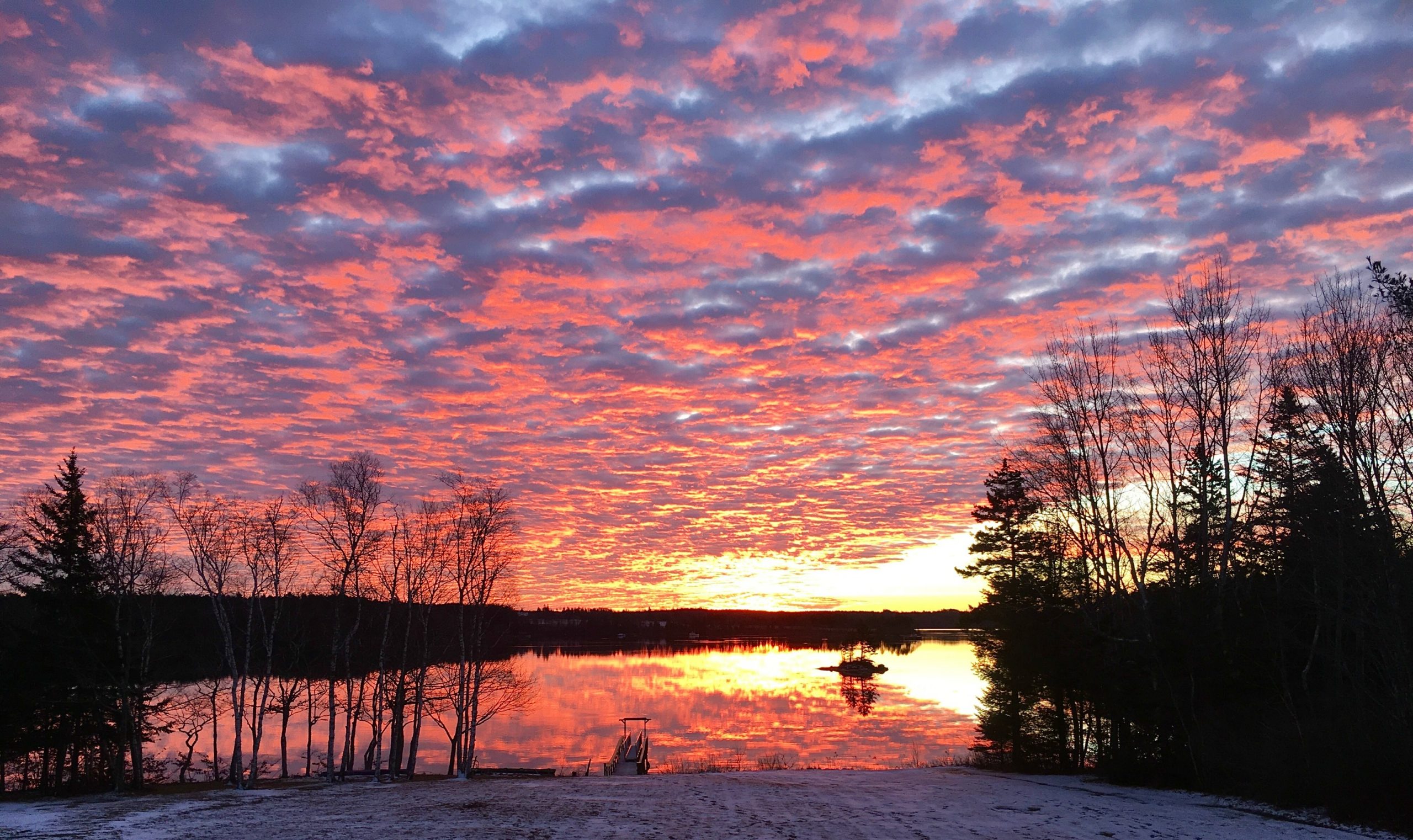 One Hundred Dollars a Month – Mavis’ Weekly Highlights 12/12/2020