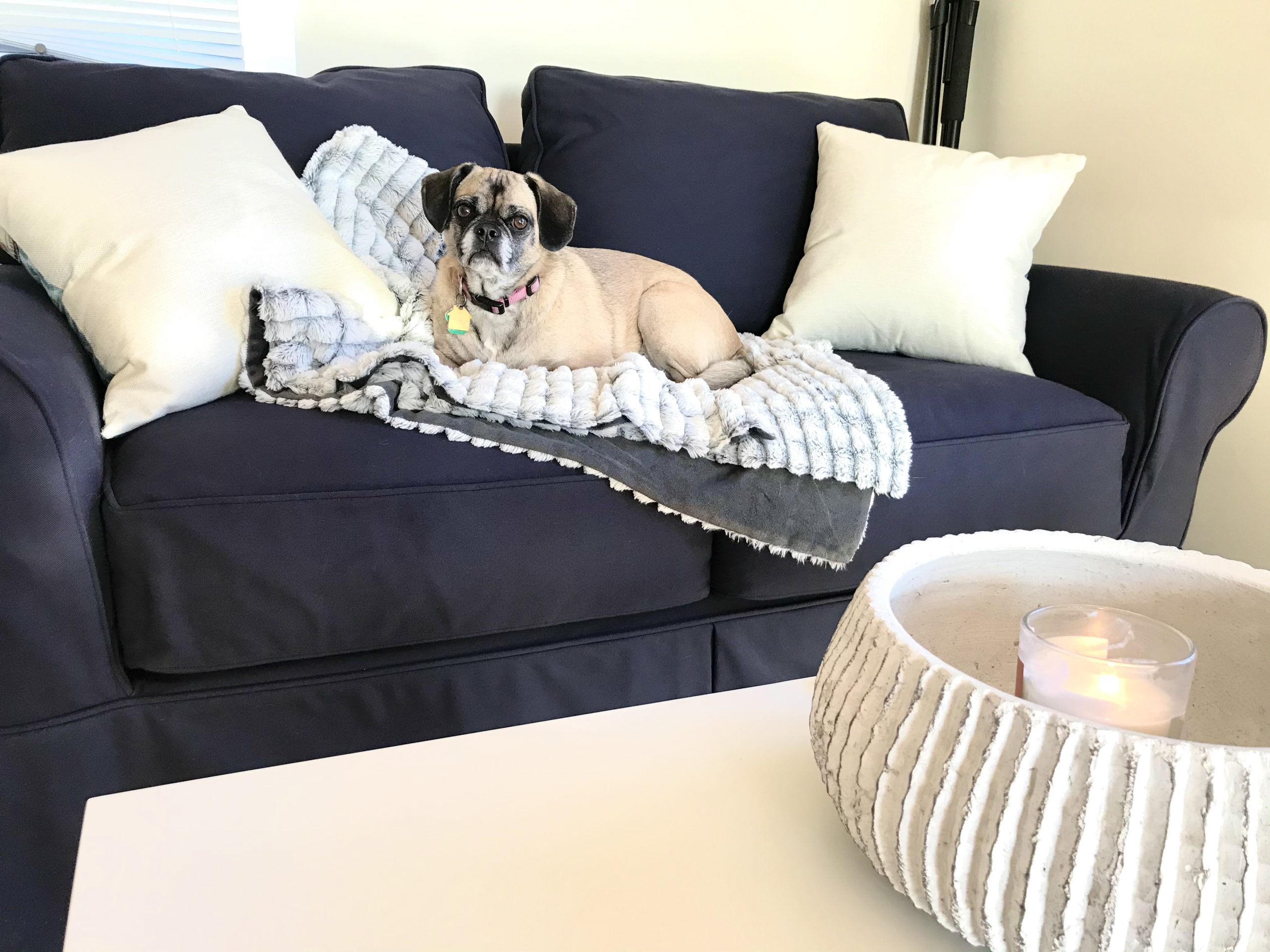 One Hundred Dollars a Month – Mavis’ Weekly Highlights 1/30/2021