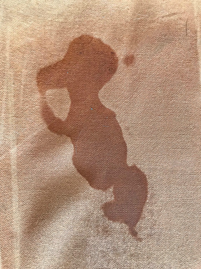 Pareidolia – Do You See What I See?