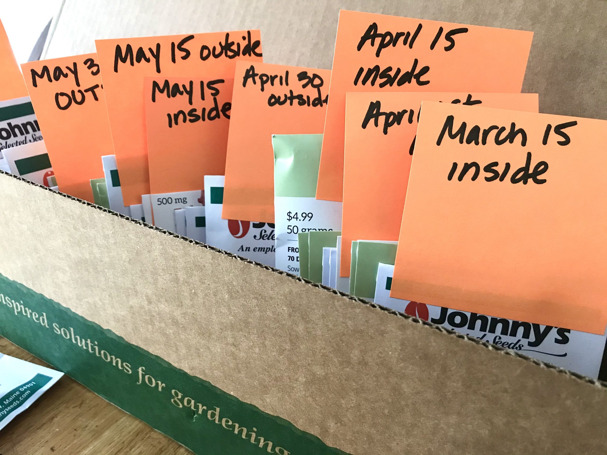 Gardening in the Middle of February