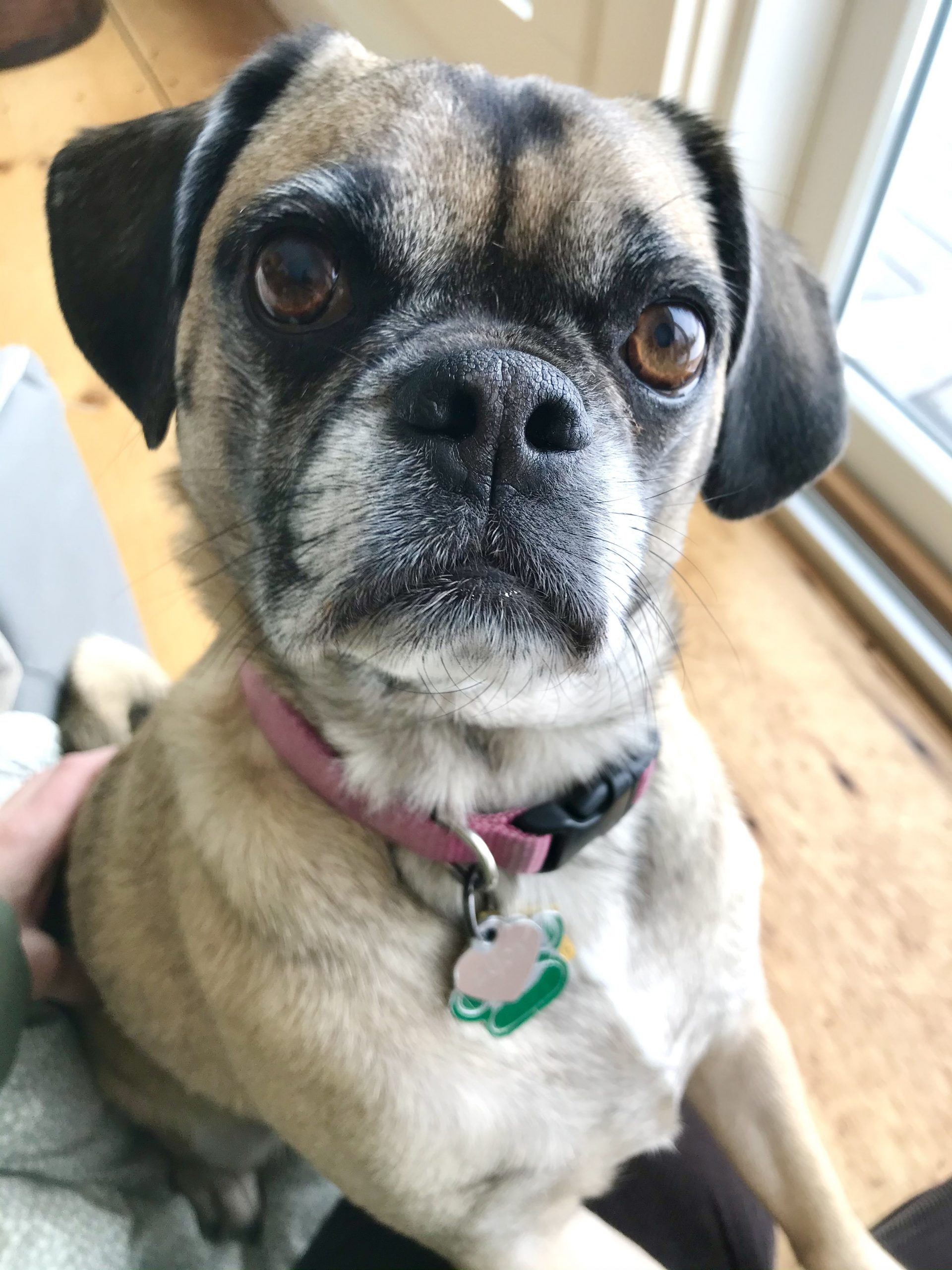 One Hundred Dollars a Month – Mavis’ Weekly Highlights 2/20/2021