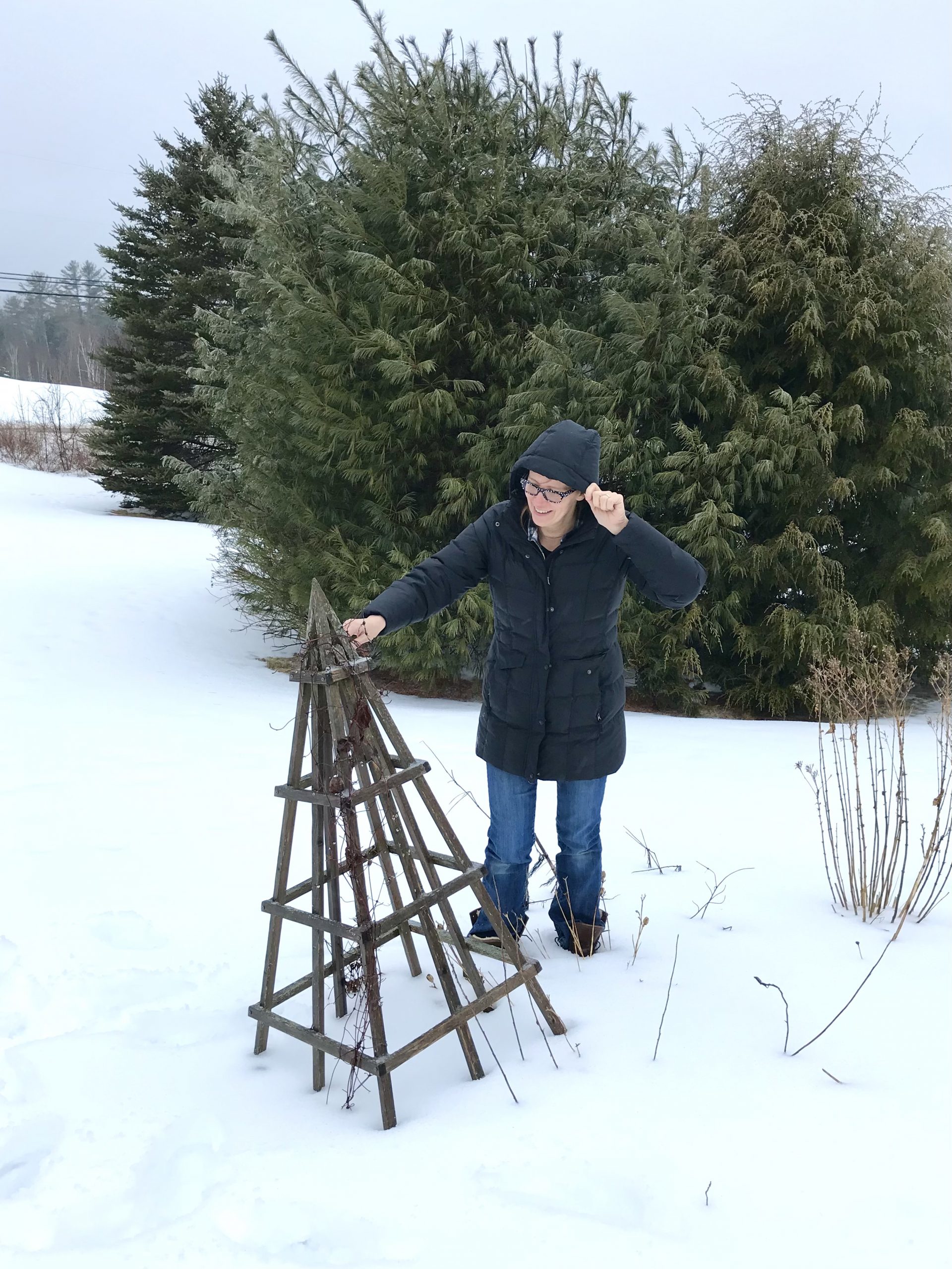 Gardening in February