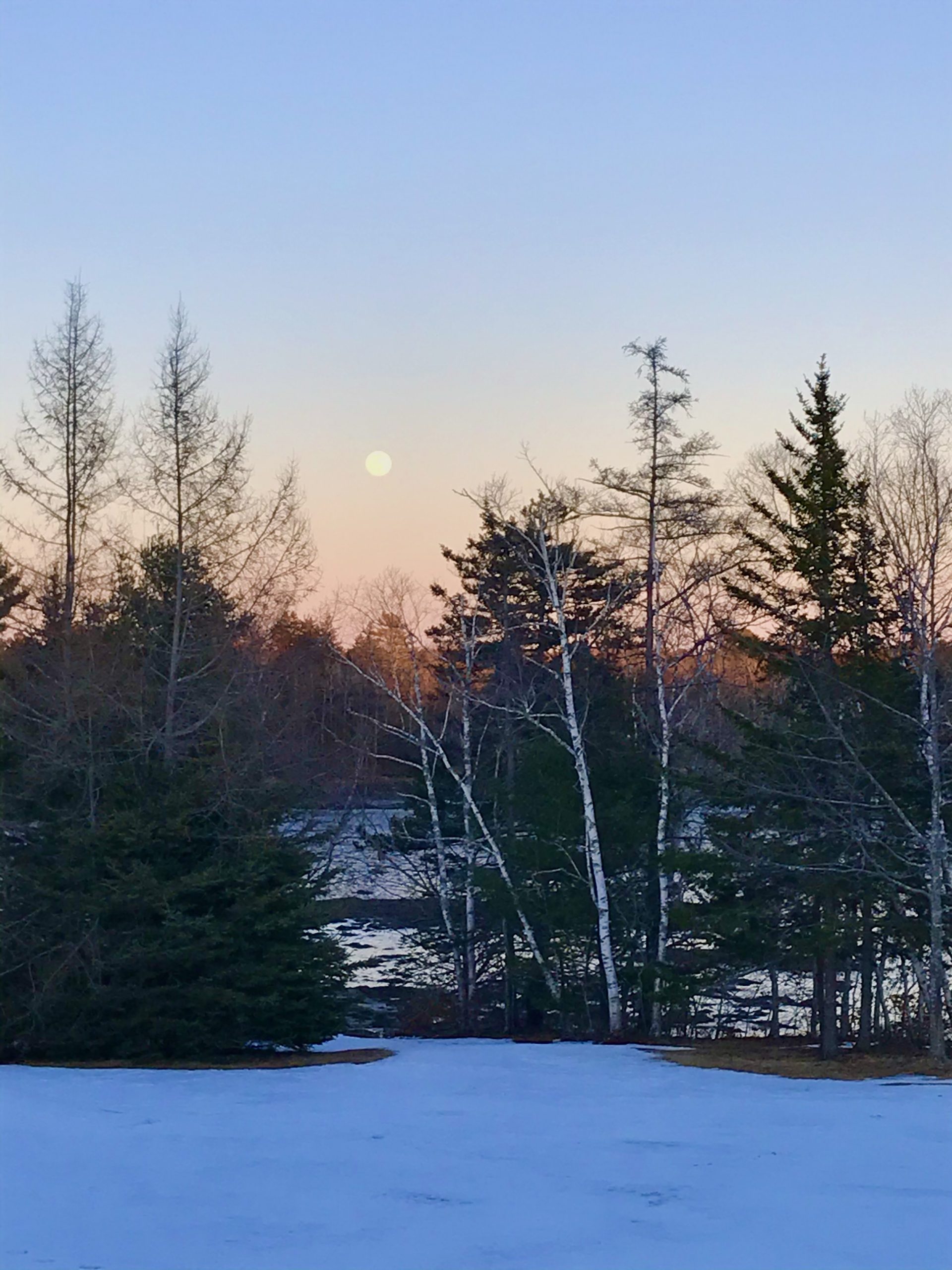 One Hundred Dollars a Month – Mavis’ Weekly Highlights 2/27/2021