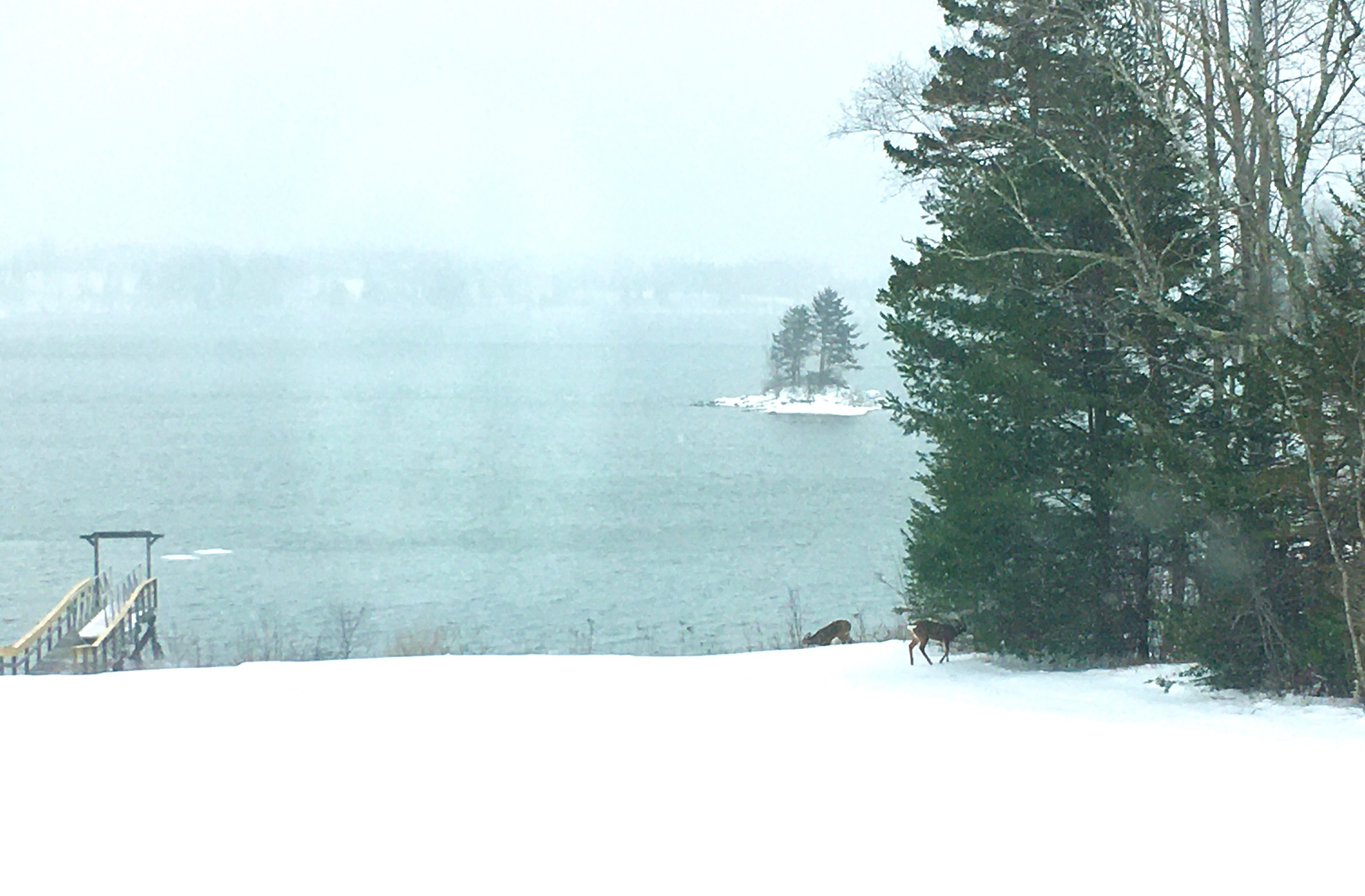 A Snow Day for Mid Coast Maine