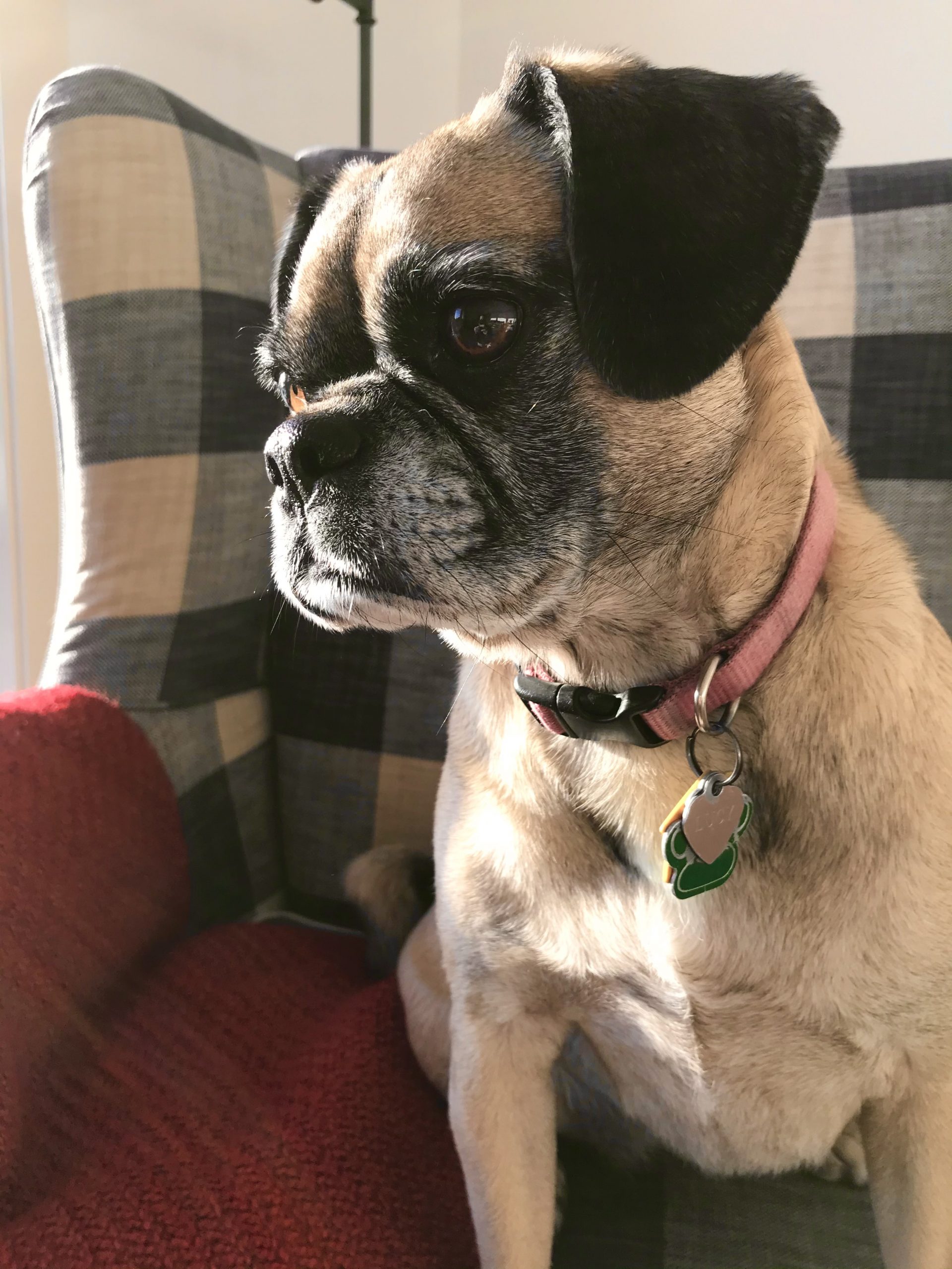 One Hundred Dollars a Month – Mavis’ Weekly Highlights 3/6/2021