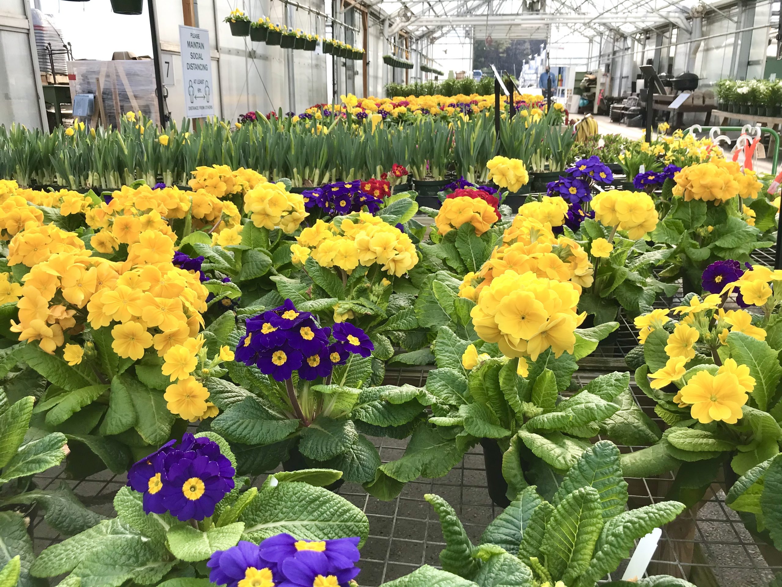 Longfellow’s Greenhouses – Manchester, Maine