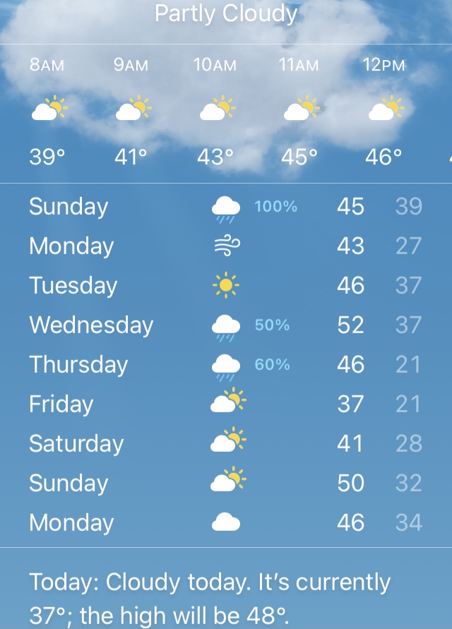 One Hundred Dollars a Month – Mavis’ Weekly Highlights 3/27/2021