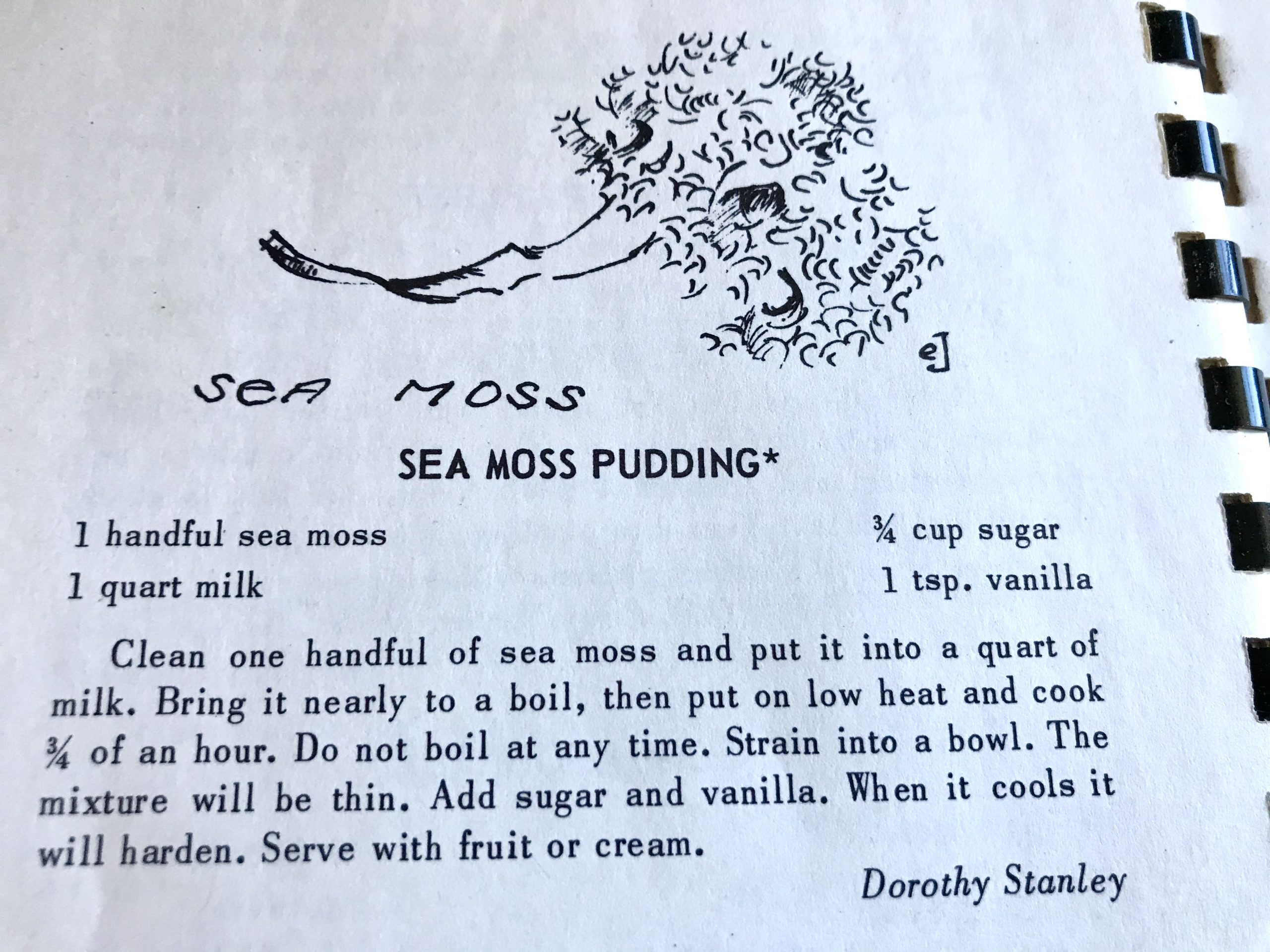 I’m Pretty Sure If You’re Eating Sea Moss, You’re Out of Fruit or Cream.