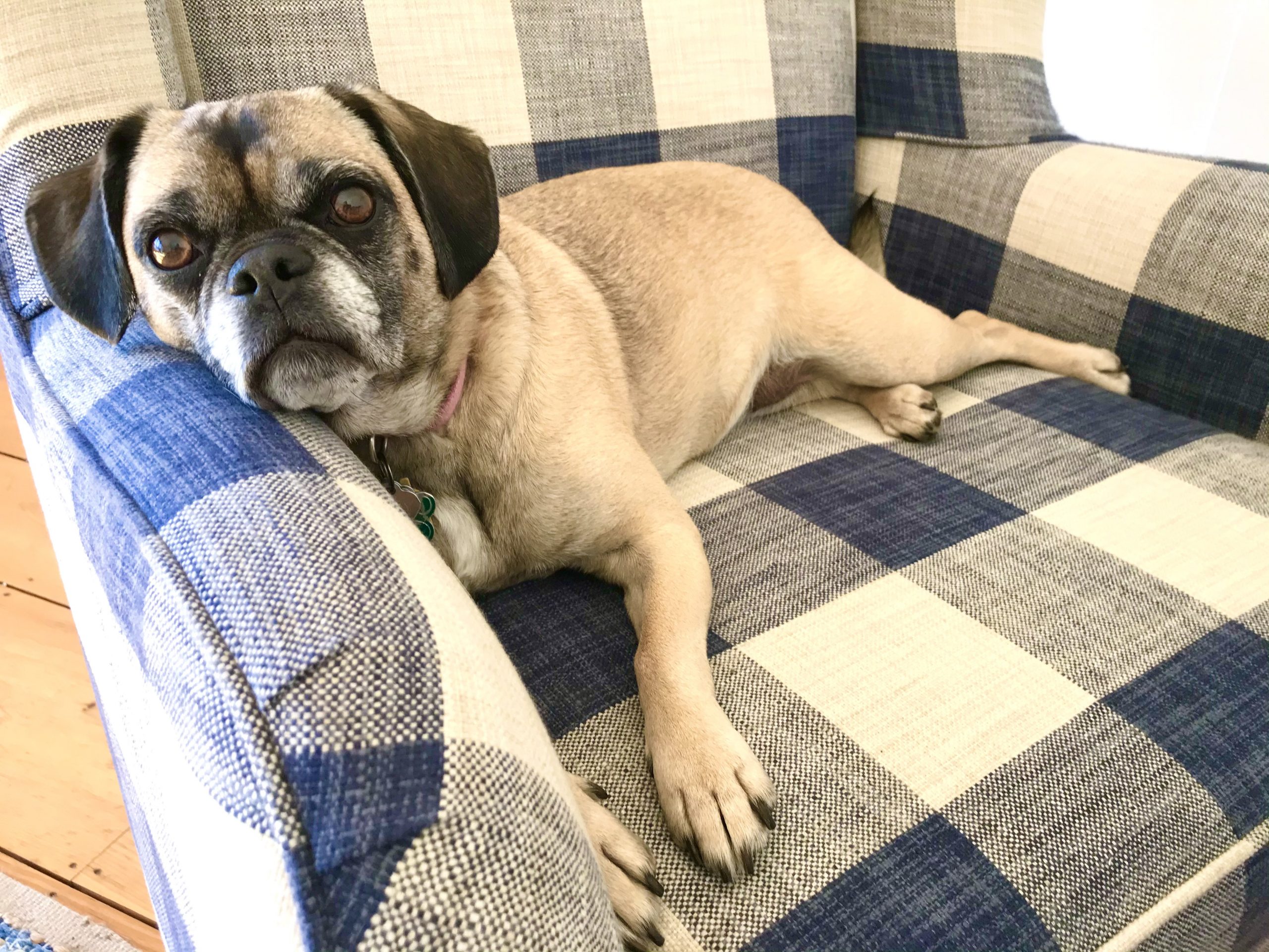 One Hundred Dollars a Month – Mavis’ Weekly Highlights 4/10/2021