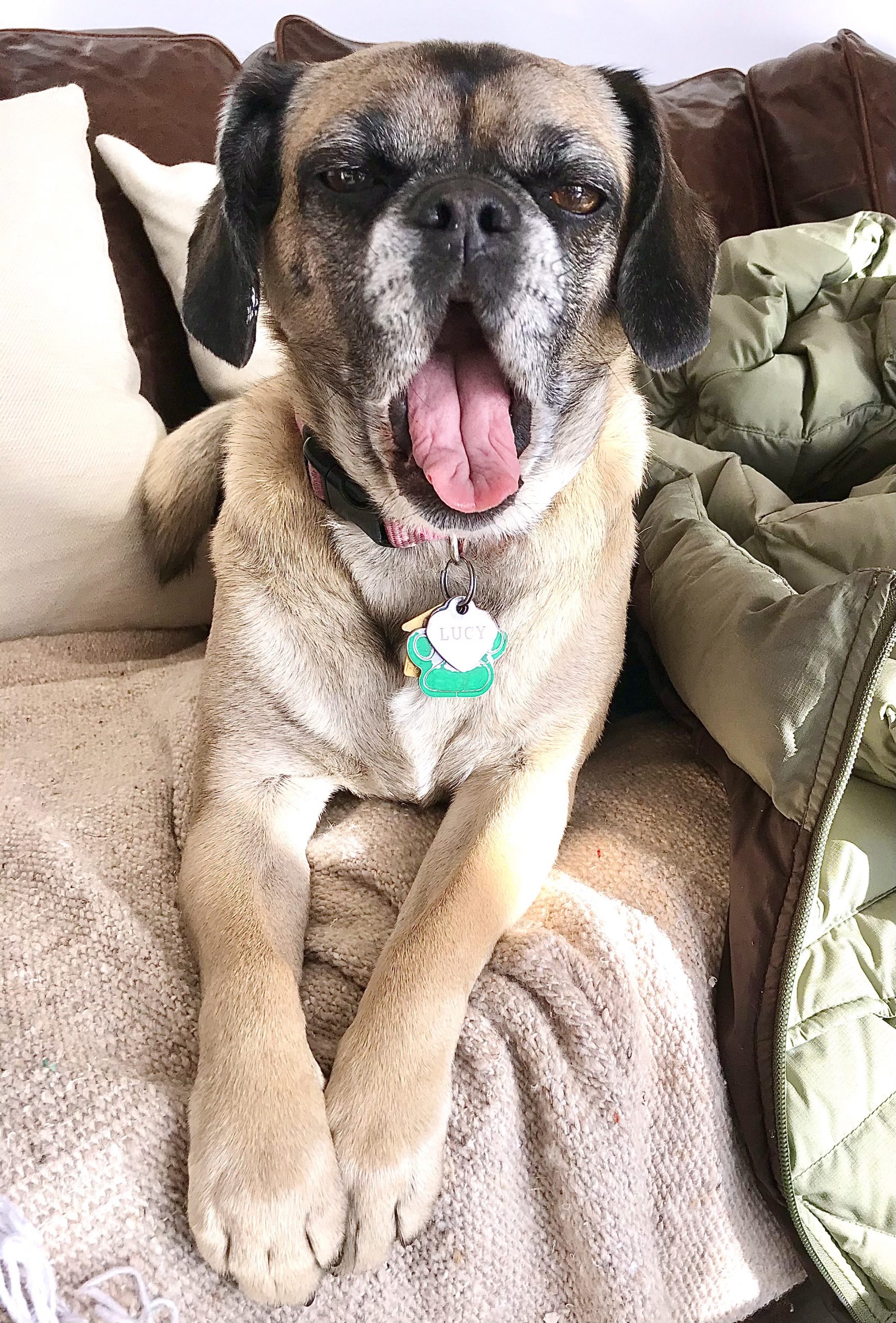 One Hundred Dollars a Month – Mavis’ Weekly Highlights 4/24/2021