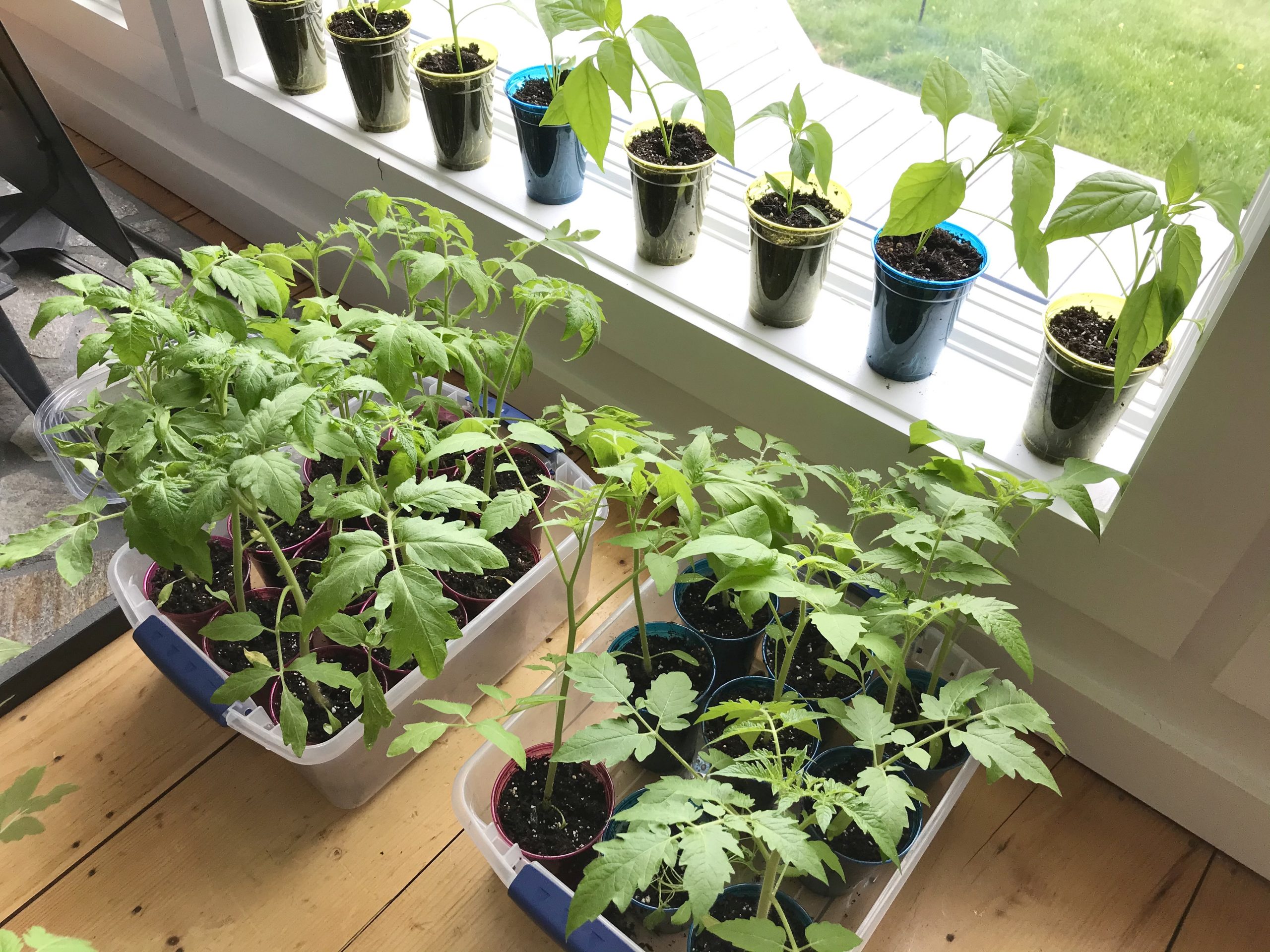 My Big List of Things I’m Going to Do in 2021 – Week 19 of 52